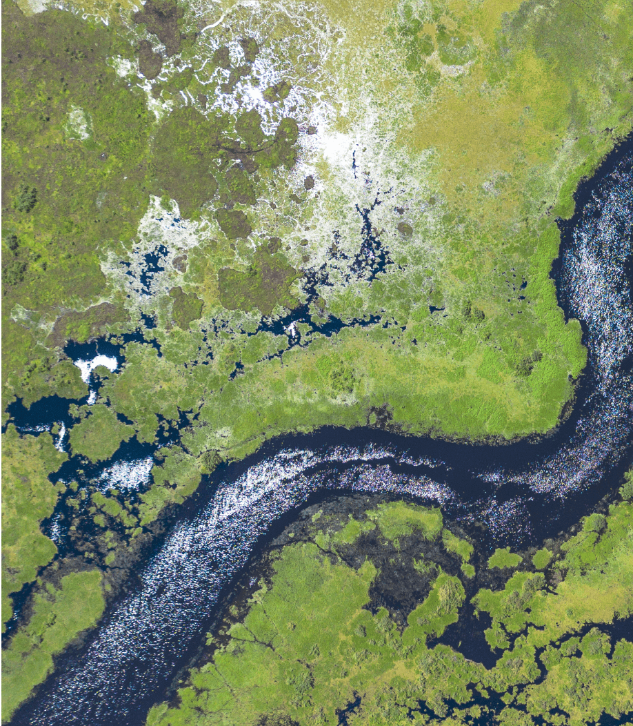 Stay tuned! Coming soon.