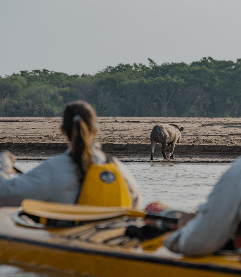 Stay tuned! Coming soon.