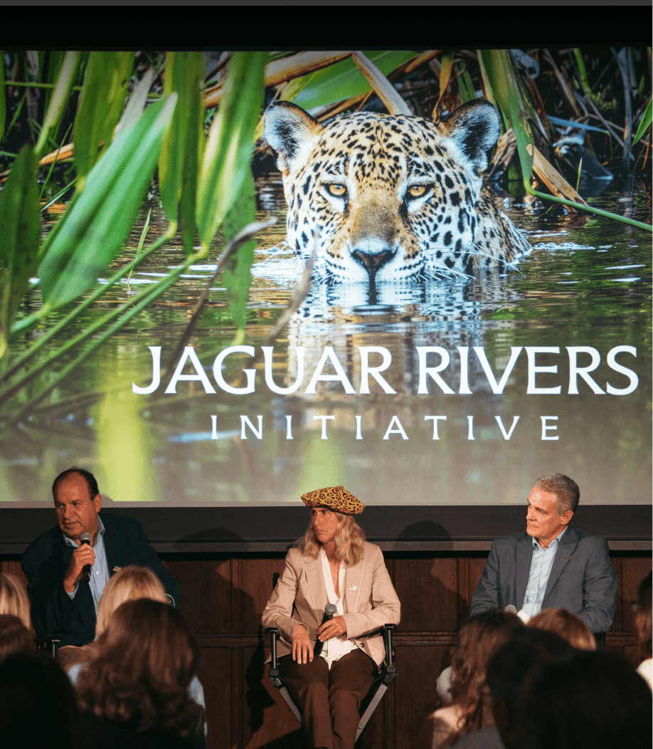 Jaguar Rivers Initiative: South America’s first continental wildlife corridor.